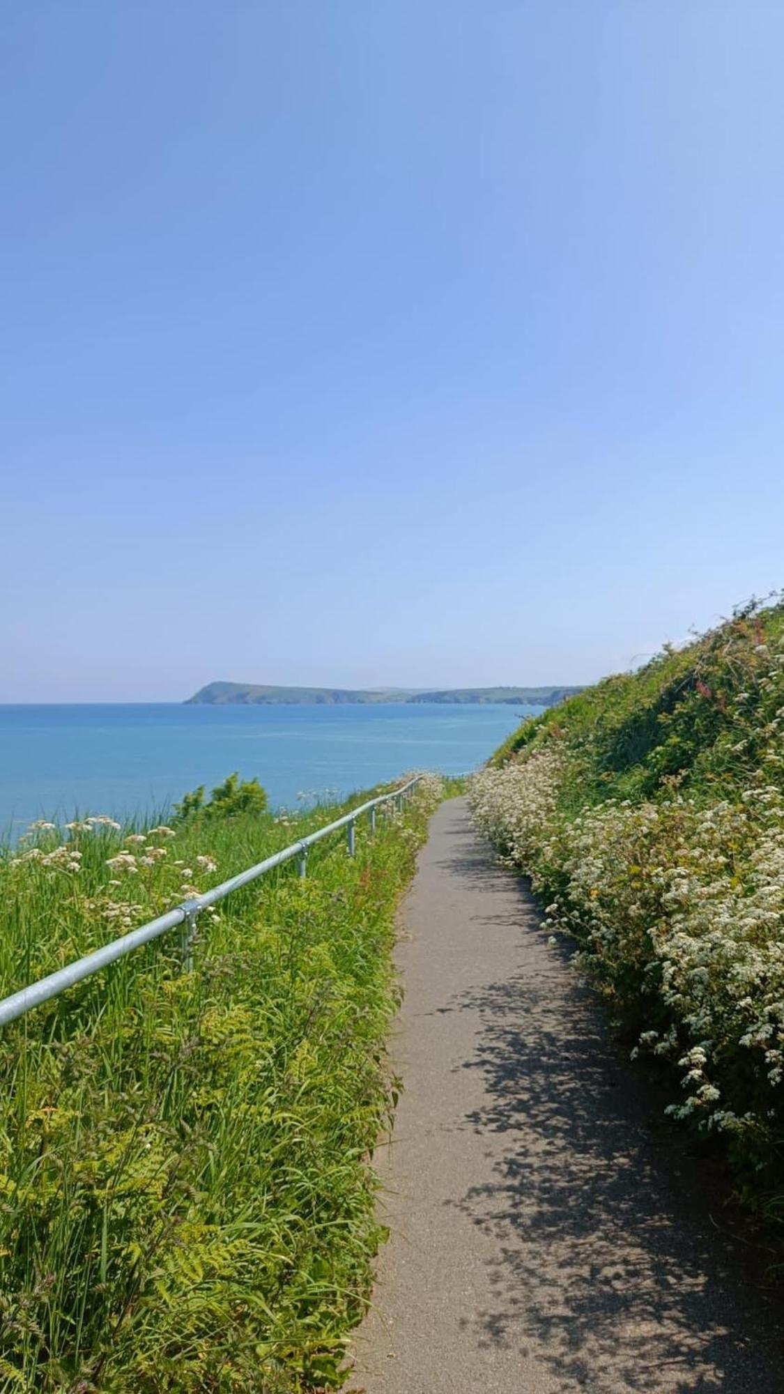 Rose And Crown Hotel & Hope And Anchor Bar Goodwick Екстер'єр фото