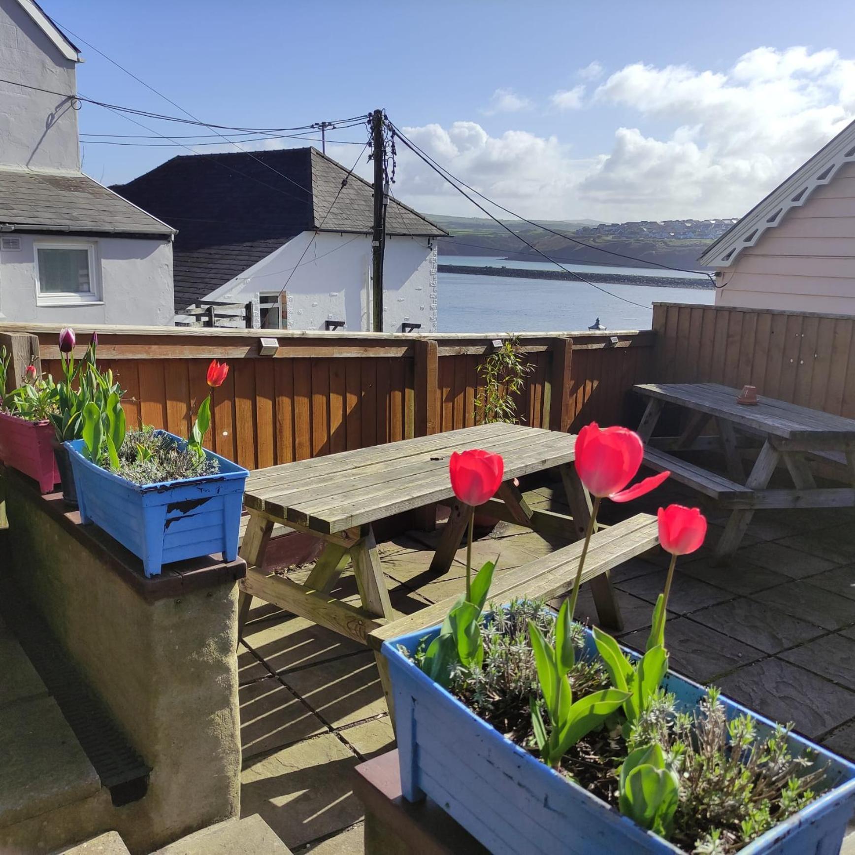 Rose And Crown Hotel & Hope And Anchor Bar Goodwick Екстер'єр фото
