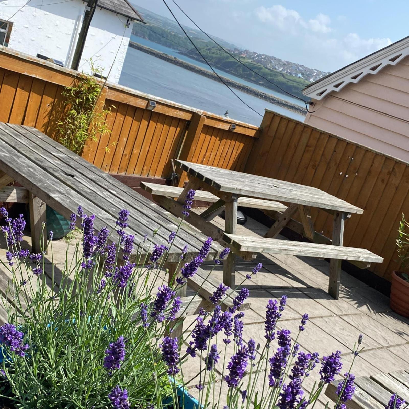Rose And Crown Hotel & Hope And Anchor Bar Goodwick Екстер'єр фото